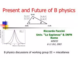 Present and Future of B physics