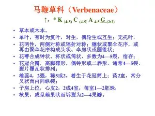 verbenaceae k 4 5 c 4 5 a 4 5 g 2 2
