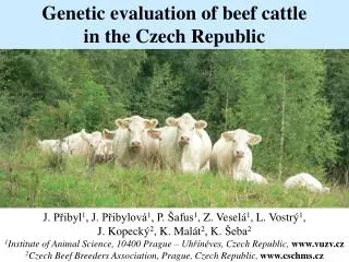 Genetic evaluation of beef cattle in the Czech Republic