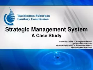 Strategic Management System A Case Study