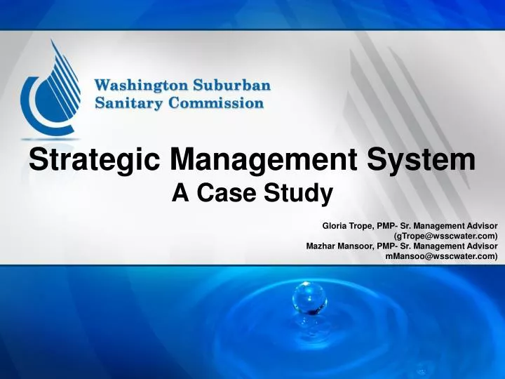 strategic management system a case study