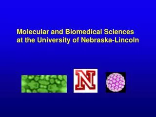 Molecular and Biomedical Sciences at the University of Nebraska-Lincoln