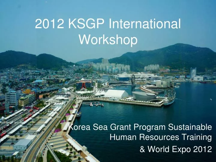 2012 ksgp international workshop