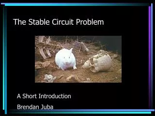 The Stable Circuit Problem