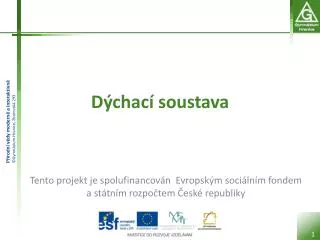 d chac soustava