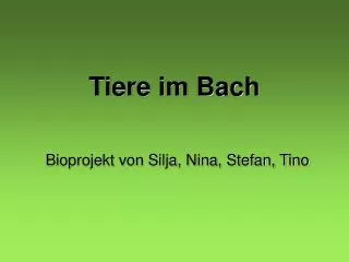 tiere im bach