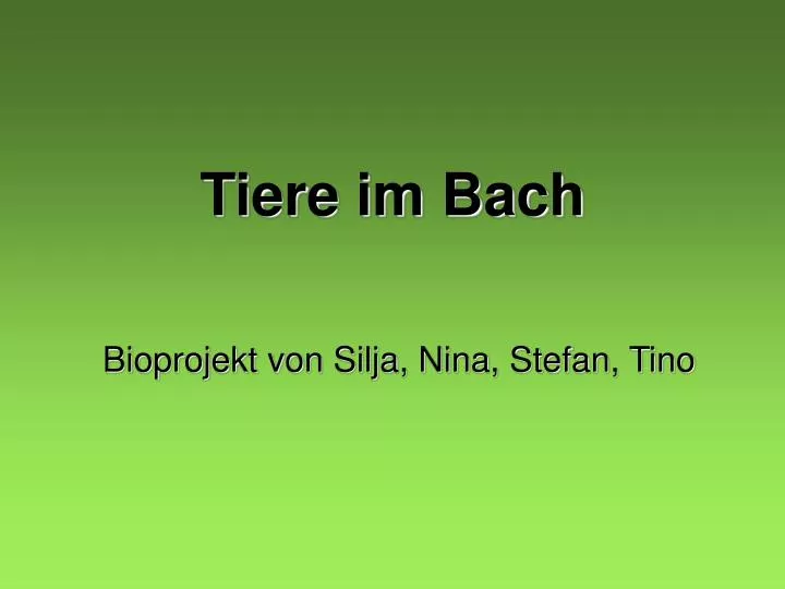 tiere im bach