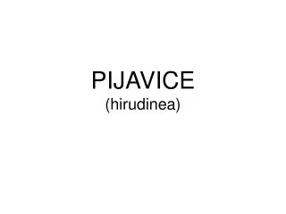 pijavice hirudinea