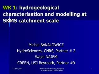 WK 1 : hydrogeological characterisation and modelling at SKMS catchment scale