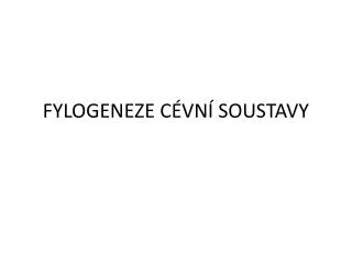 fylogeneze c vn soustavy