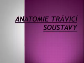anatomie tr vic soustavy