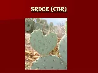 srdce cor