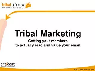 Tribal Email Marketing