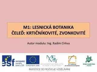 m1 lesnick botanika ele krti n kovit zvonkovit
