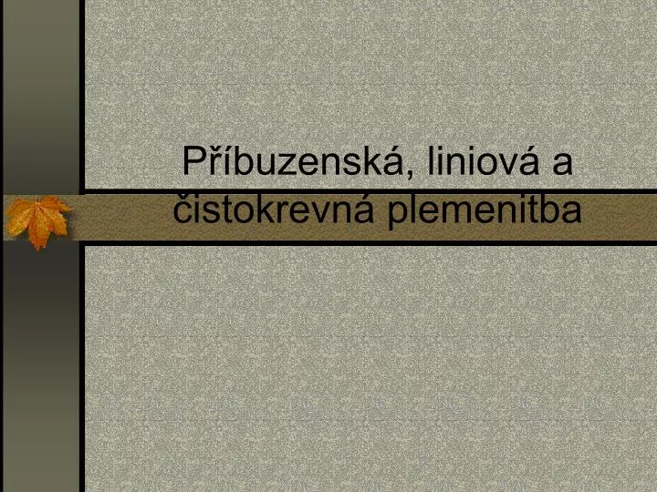 p buzensk liniov a istokrevn plemenitba