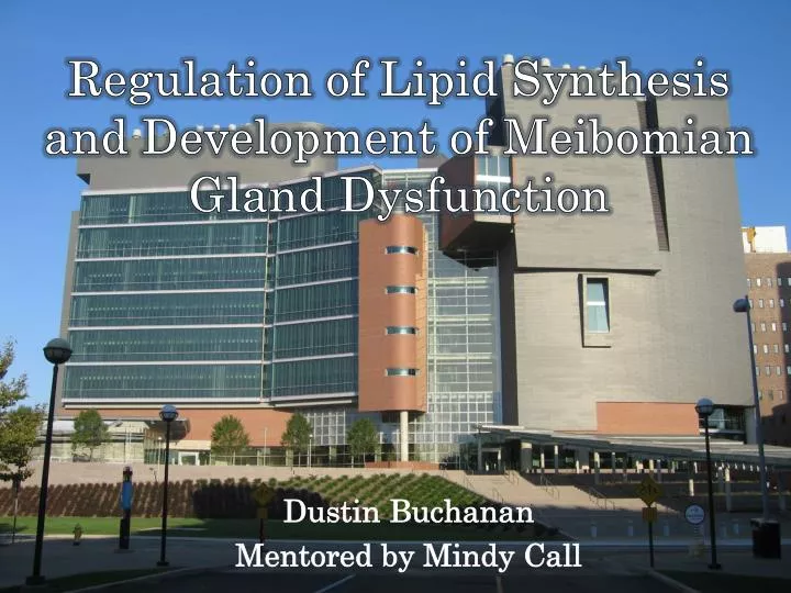 regulation of lipid synthesis and development of meibomian gland dysfunction