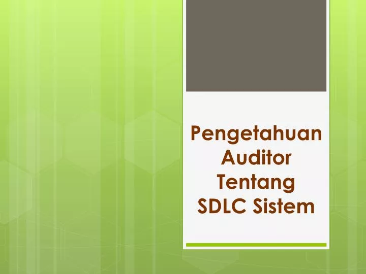 pengetahuan auditor tentang sdlc sistem