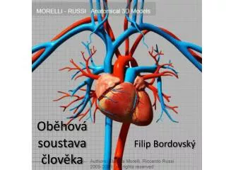 ob hov soustava lov ka