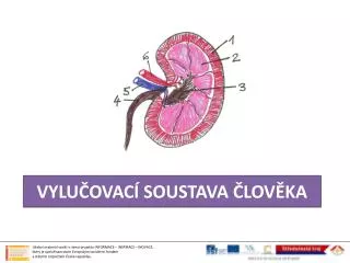 vylu ovac soustava lov ka