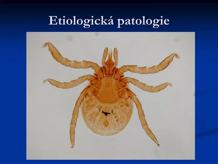 etiologick patologie