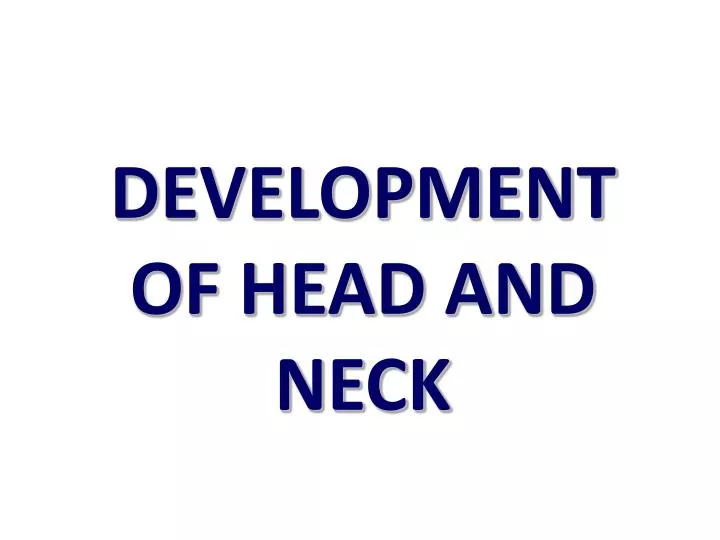 development of head and neck