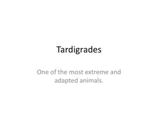 Tardigrades