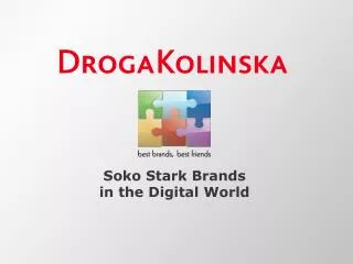 Soko Stark Brands in the Digital World