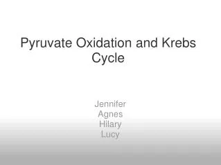 Pyruvate Oxidation and Krebs Cycle