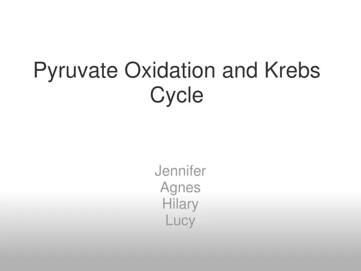 pyruvate oxidation and krebs cycle