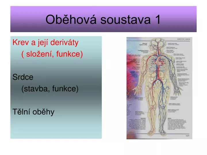 ob hov soustava 1