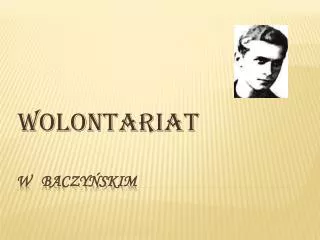 wolontariat
