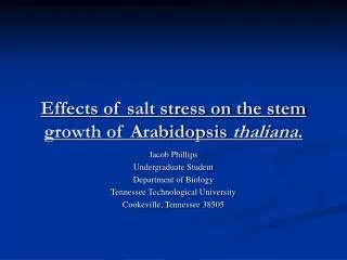 Effects of salt stress on the stem growth of Arabidopsis thaliana .