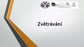 zv tr v n
