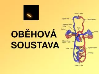 ob hov soustava