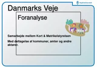 danmarks veje foranalyse