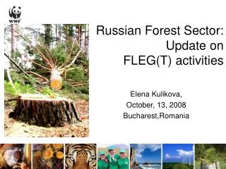 Russian Forest Sector: Update on FLEG(T) activities