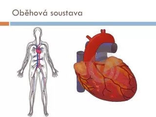 ob hov soustava