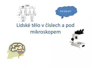 lidsk t lo v slech a pod mikroskopem