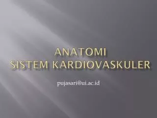 anatomi sistem kardiovaskuler