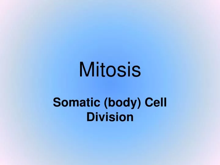 mitosis