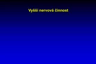 vy nervov innost
