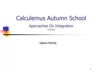 Calculemus Autumn School Approaches On Integration 10/28/02