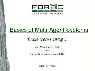 Basics of Multi-Agent Systems