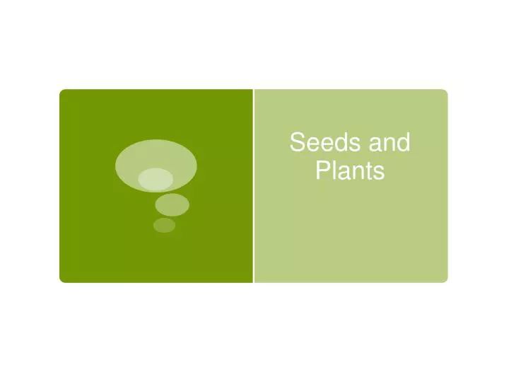 seeds and plants