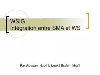 wsig int gration entre sma et ws