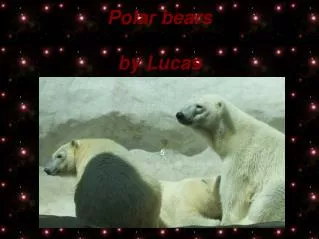 Polar bears by Lucas