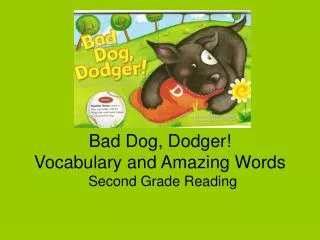 Bad Dog, Dodger! Vocabulary and Amazing Words