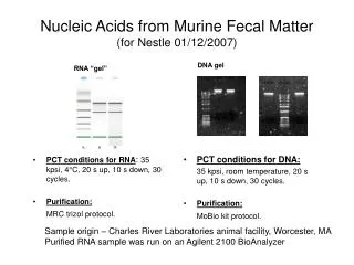 Nucleic Acids from Murine Fecal Matter (for Nestle 01/12/2007)