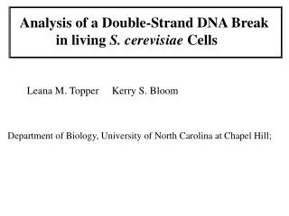 Analysis of a Double-Strand DNA Break 	 in living S. cerevisiae Cells