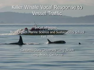 Killer Whale Vocal Response to Vessel Traffic